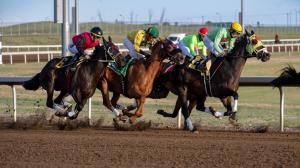 Century Mile, Alberta, Canada, horse racing, handicap, glance, Abeliefinthislivin, Lucky Force, Lord of Battle, Fireman Dan, Sunbird, Stonevicious, Rainbow’s Pride, Stormy Blue, Crusher Royale, trainer, jockey, ABR, takeout
